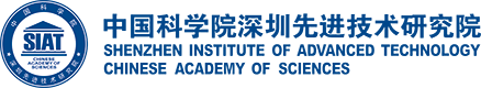 深圳2